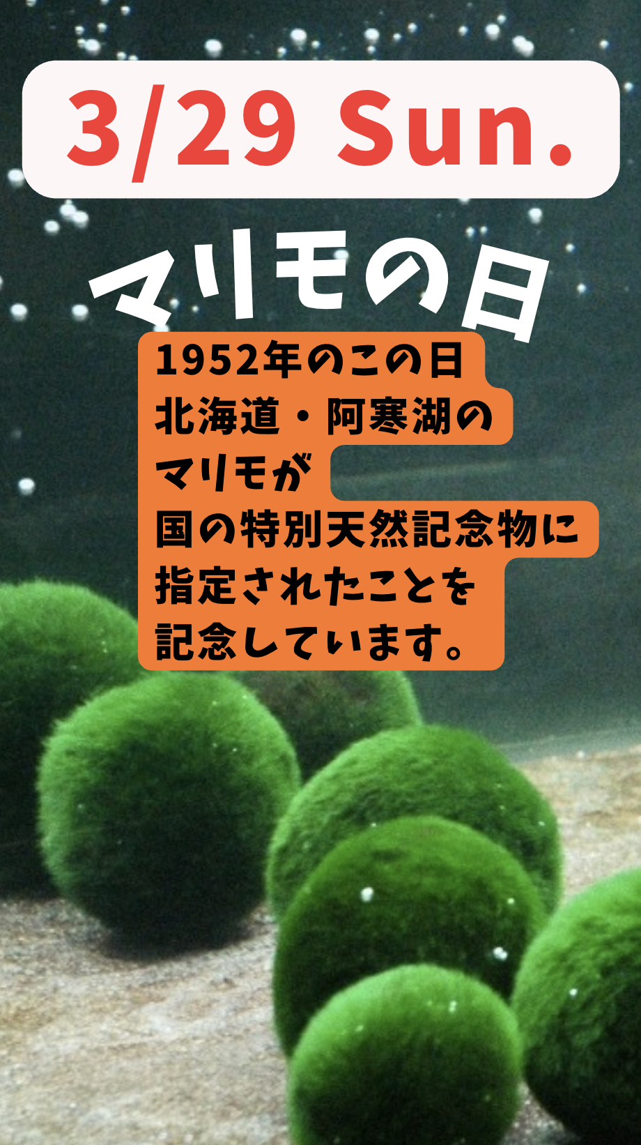 薬院整体まちカイロ2026年3月の週末開店日